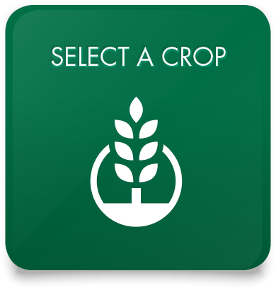 Select a Crop